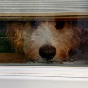 Meet your Posher, Kevin